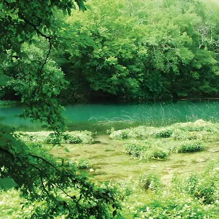 New! Authentic Stone House In National Park Krka Holiday home Puljane